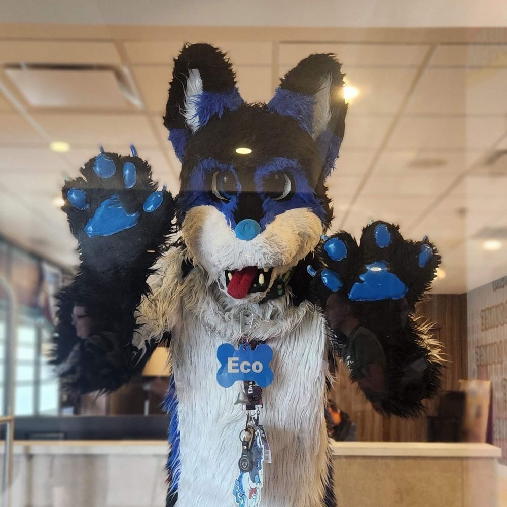 Eco the wusky 🇨🇦