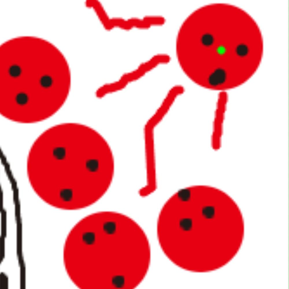 かべちん