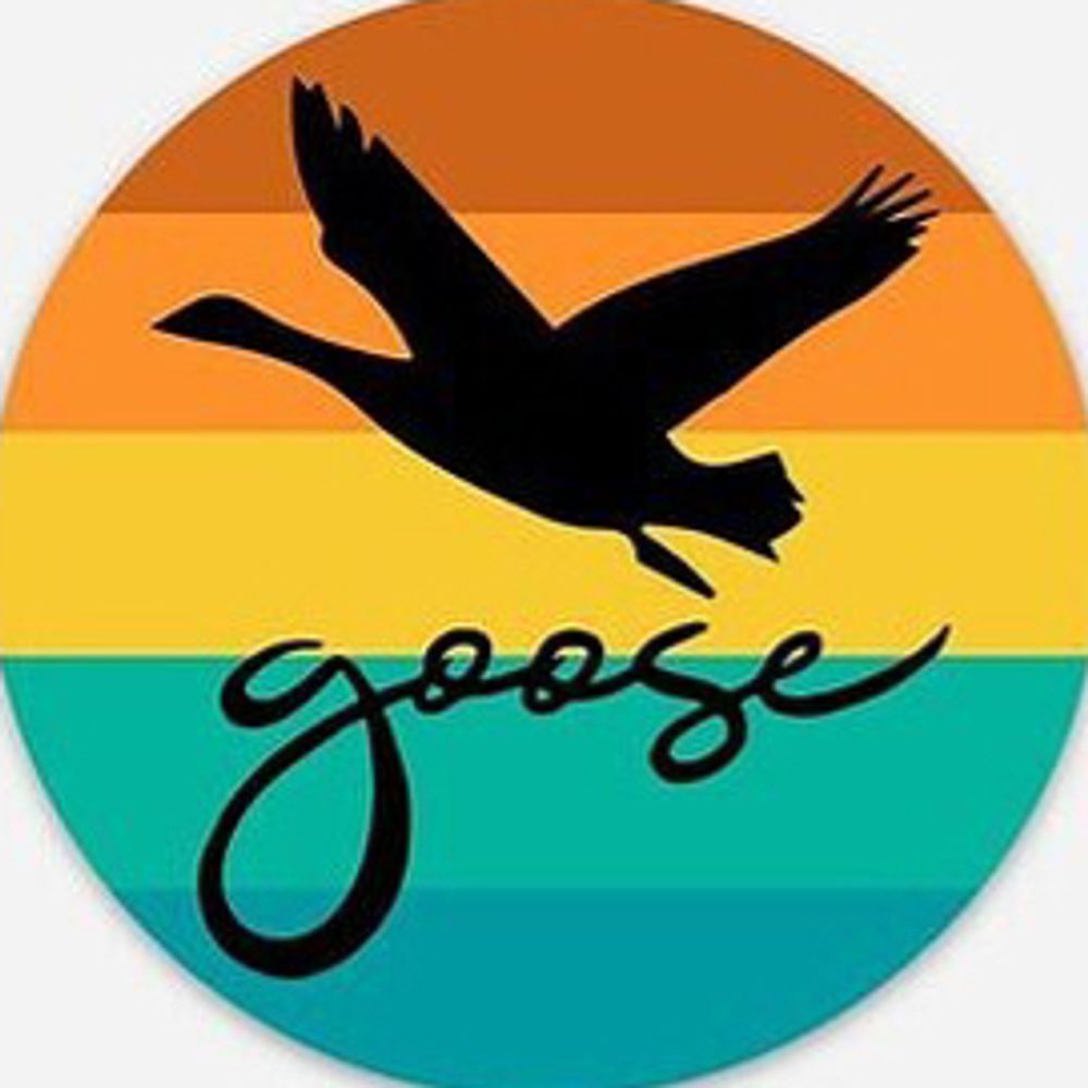 txtedhead.bsky.social