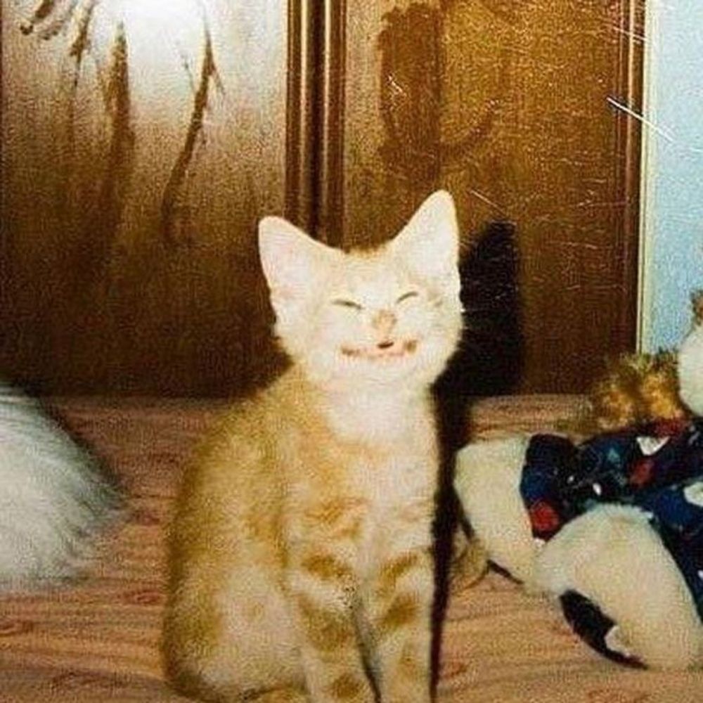 Кори