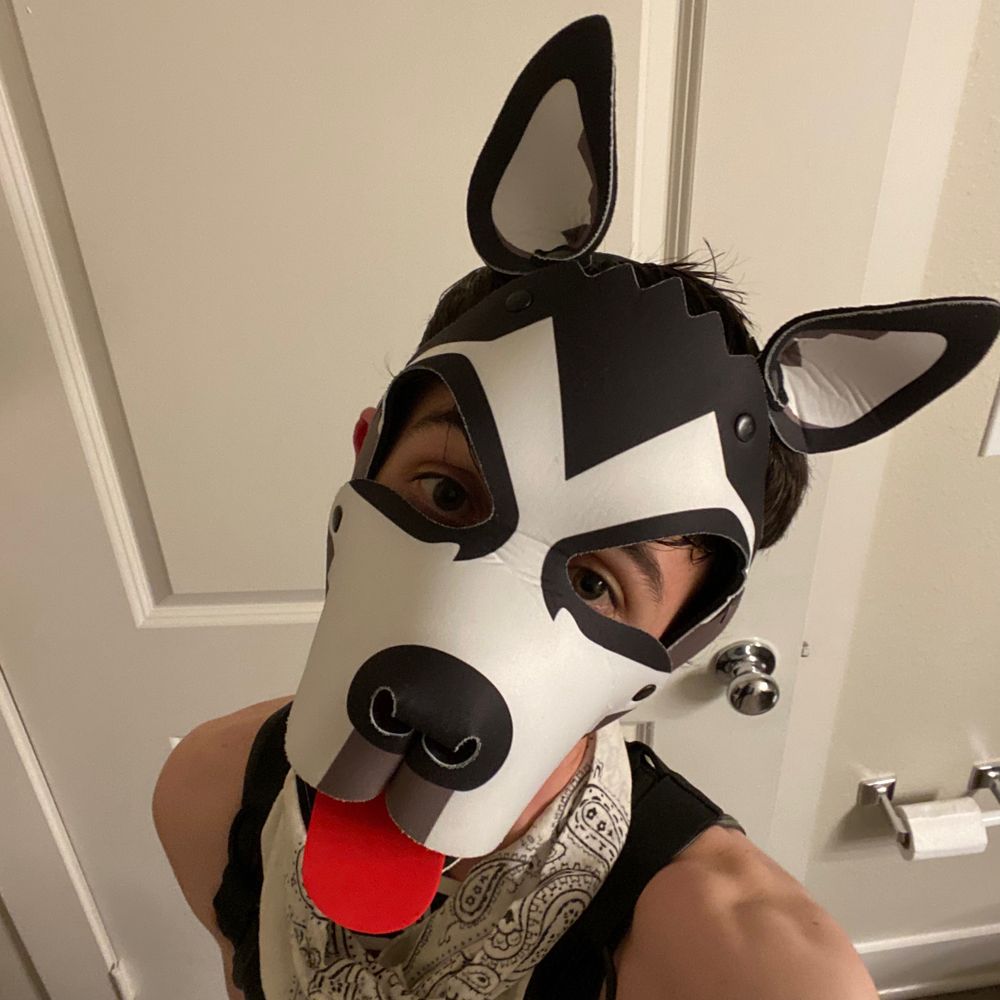 Pup Kaiser
