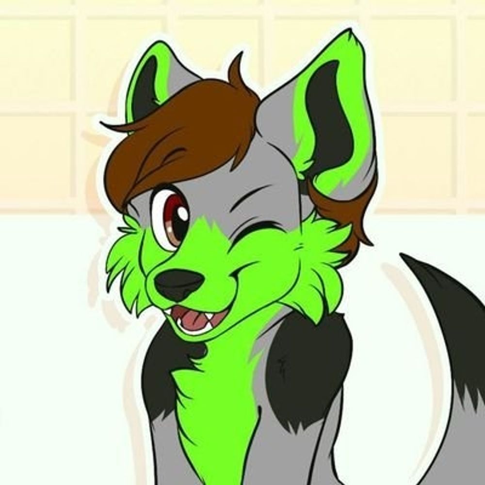 Rico The Wolf