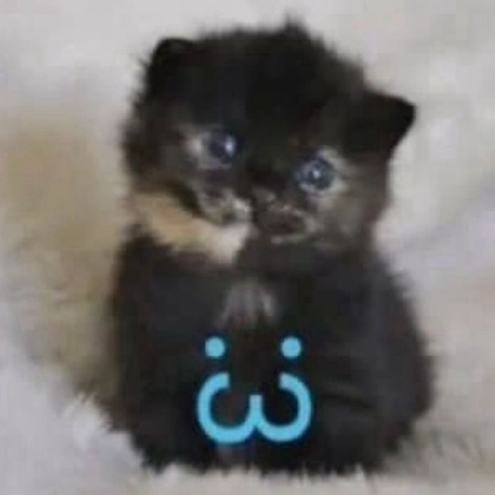 ⋆𐙚₊˚⊹♡