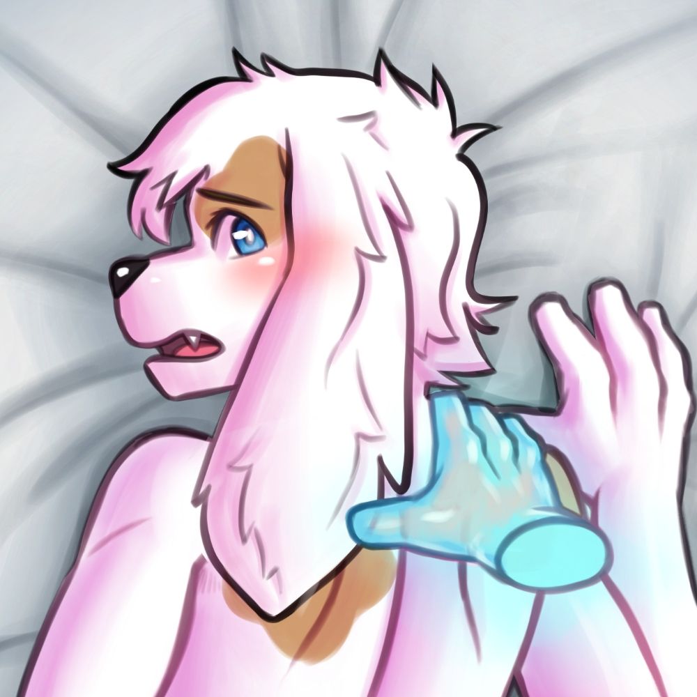 Chew toy Dog