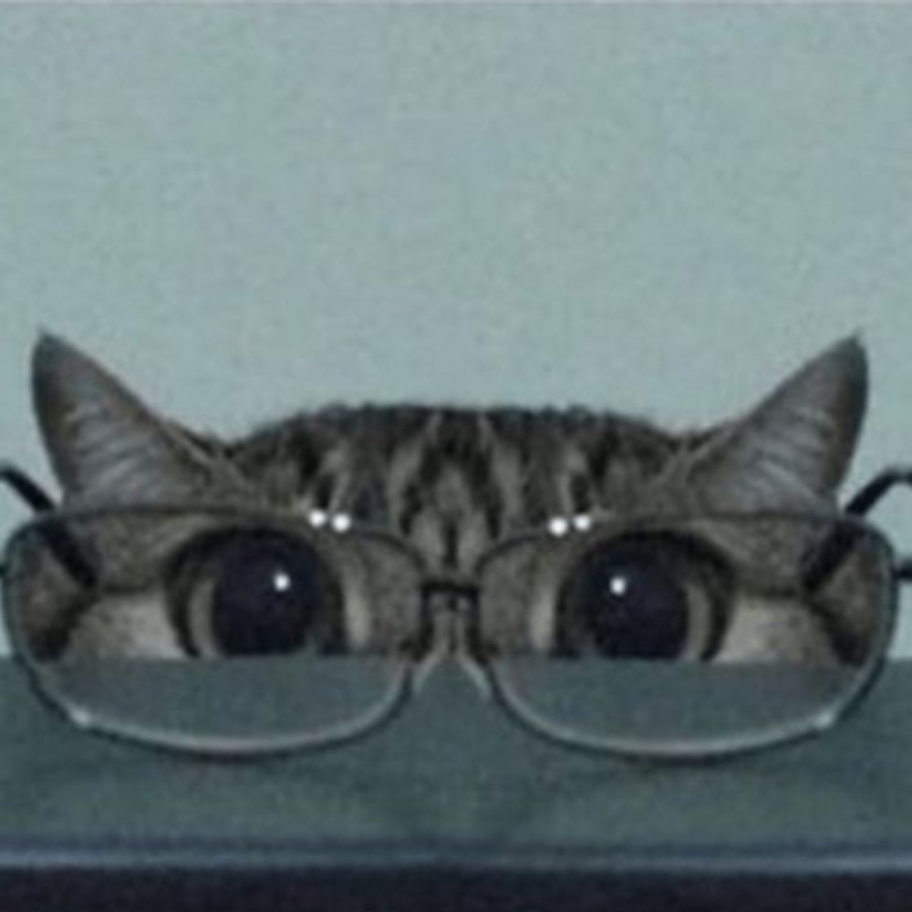 heatherwhitebutton.bsky.social profile picture