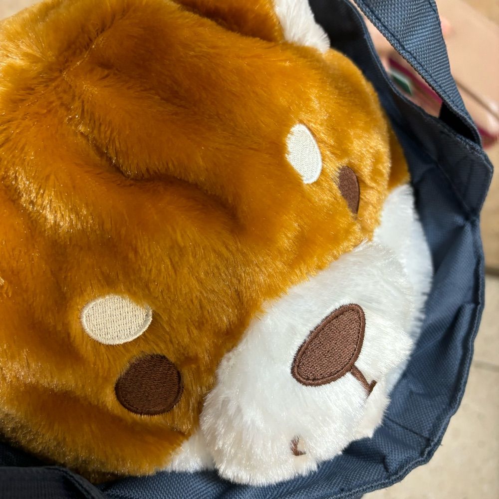伯爵D