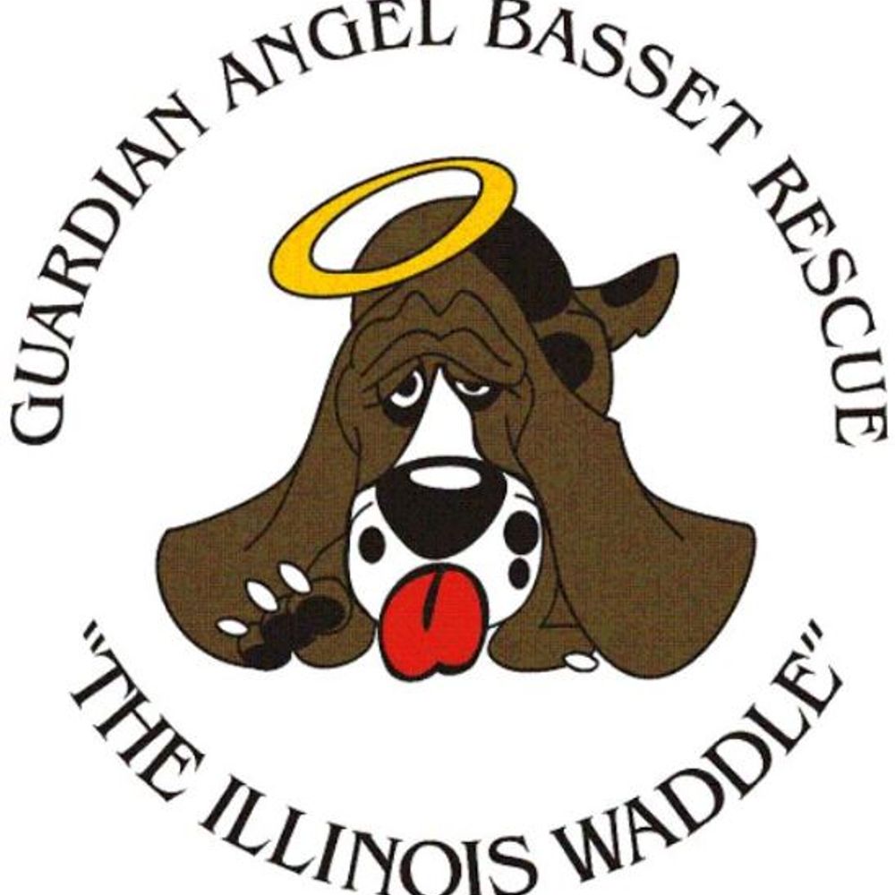 Guardian Angel Basset Rescue