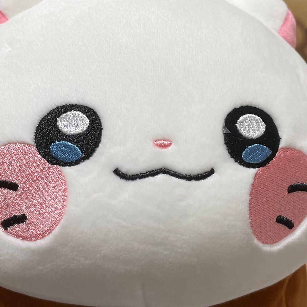 솔밤