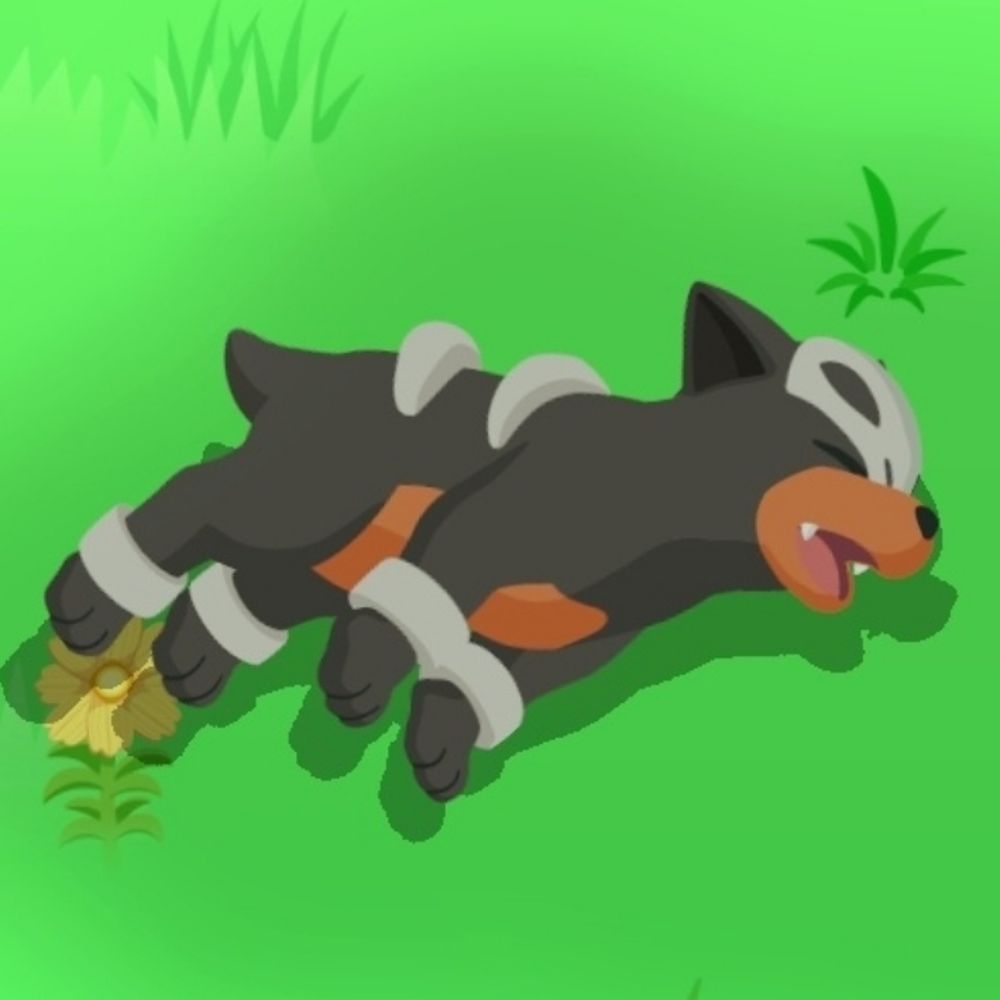 경