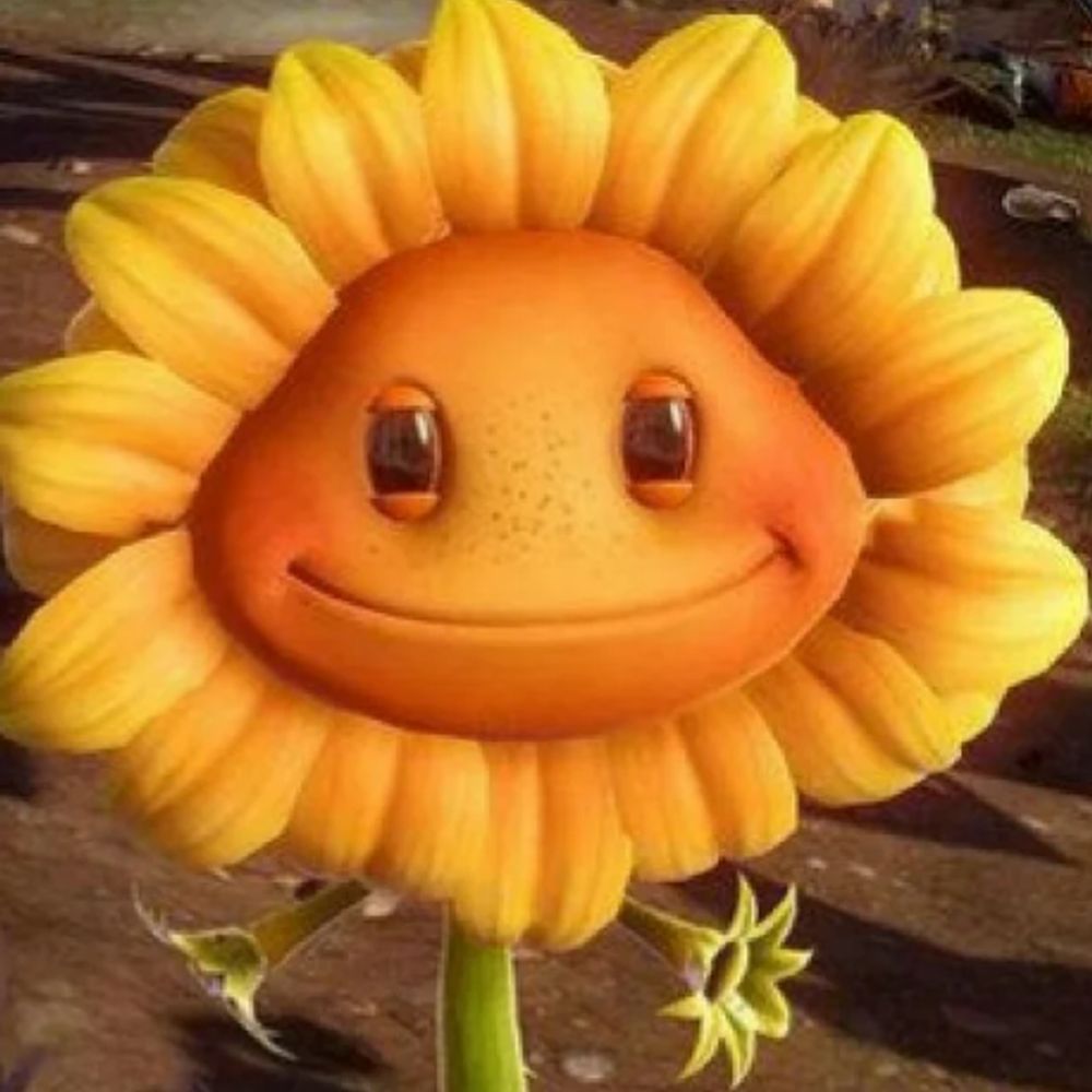POYO 