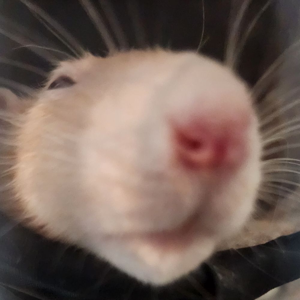 Kit