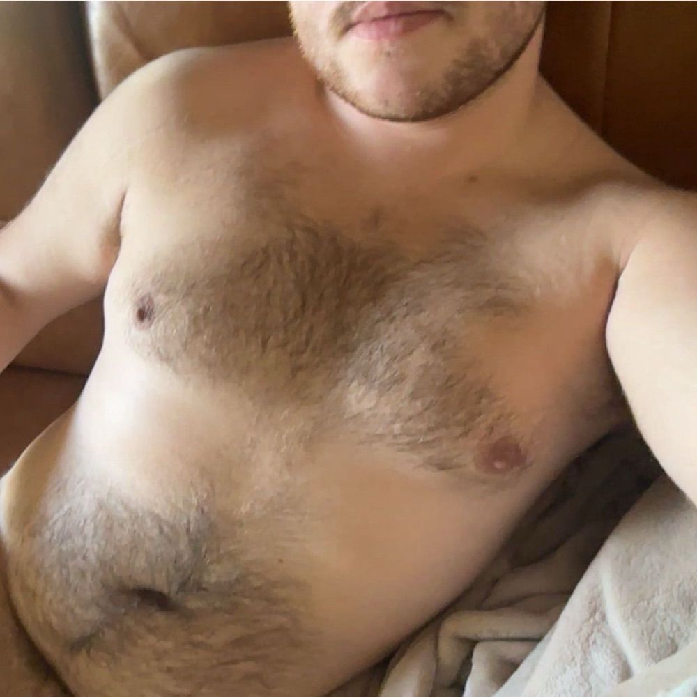 Denver Cub