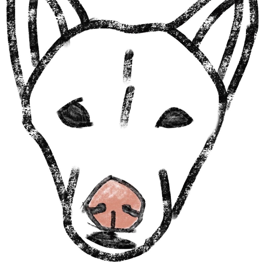 Ham & Shiba