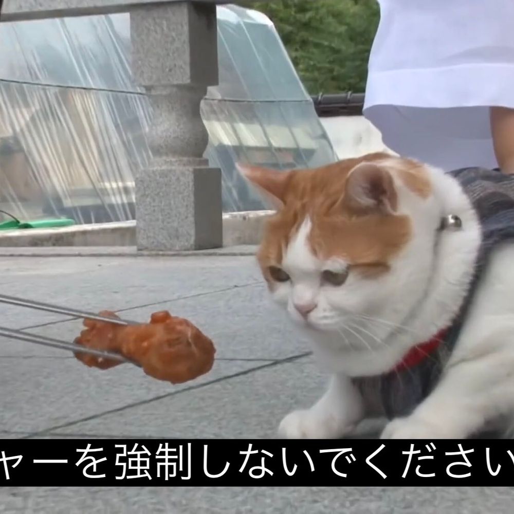 ｼﾞｭﾗﾙ