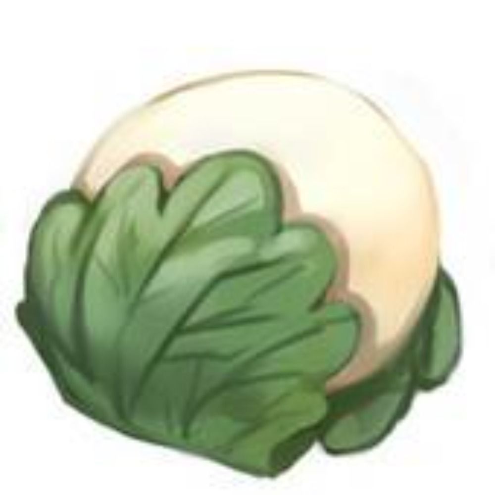 酔花（スイカ）