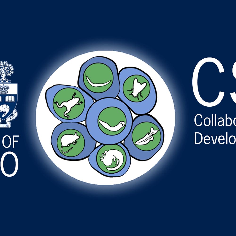 CSDB - U of T