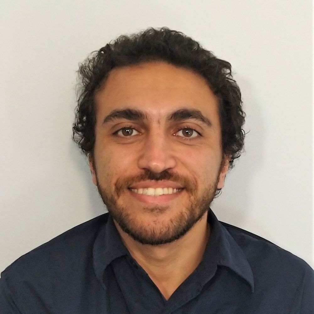 Mohamed Abdelhack