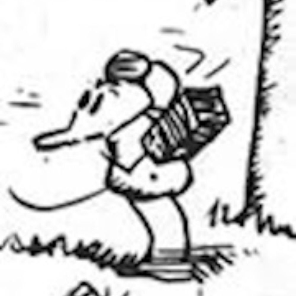 Ignatz's avatar