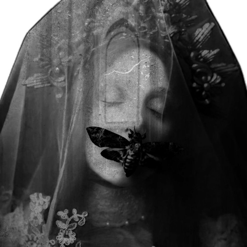 morte moth.