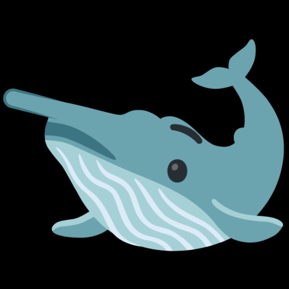 ハナナガスクジラ