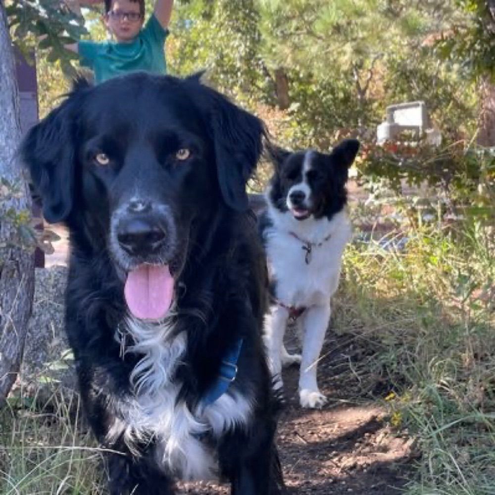 Cosmo&BigSister 🐶🐾