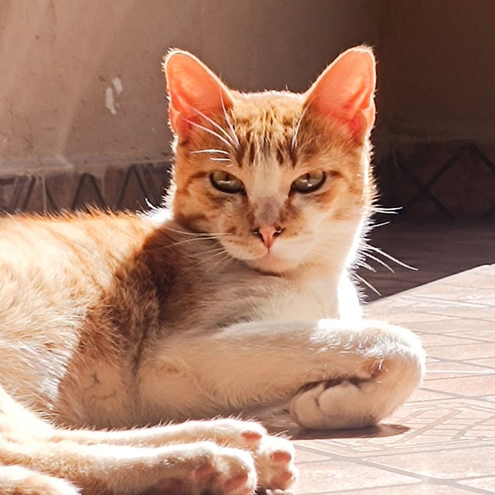 malu