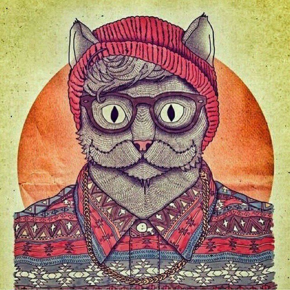 Cat in Hat
