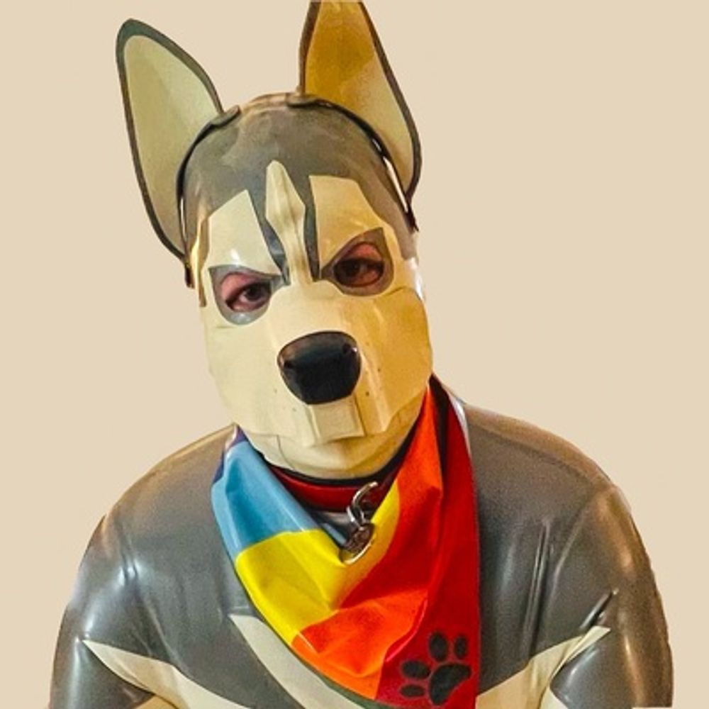 Desert Doggo