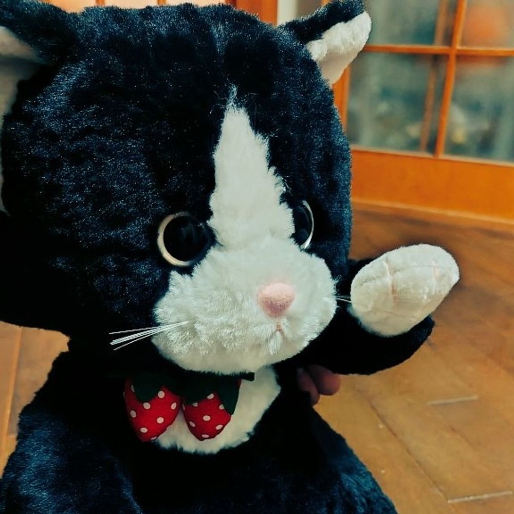 K・フジイ