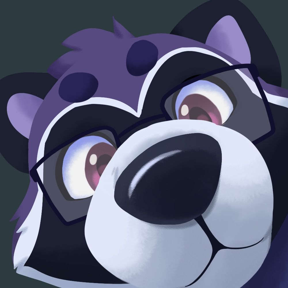 Lufis the Raccoon