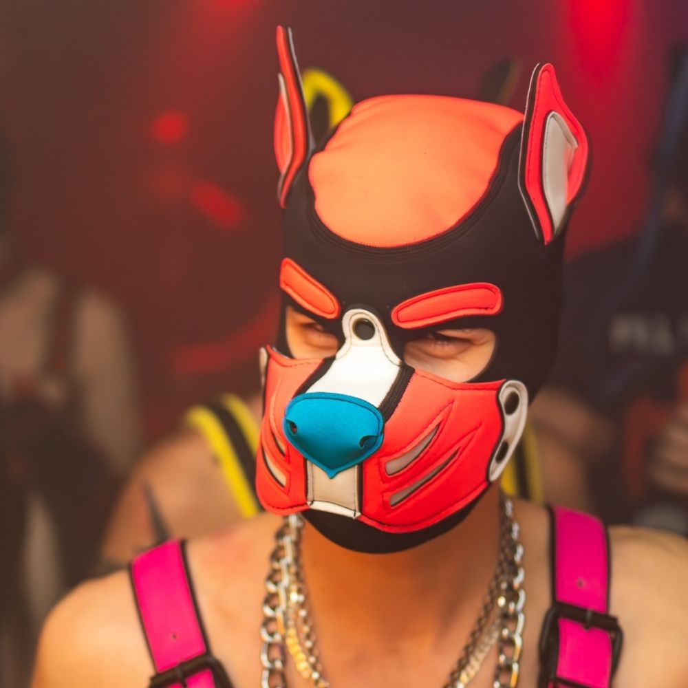 Pup Rocky