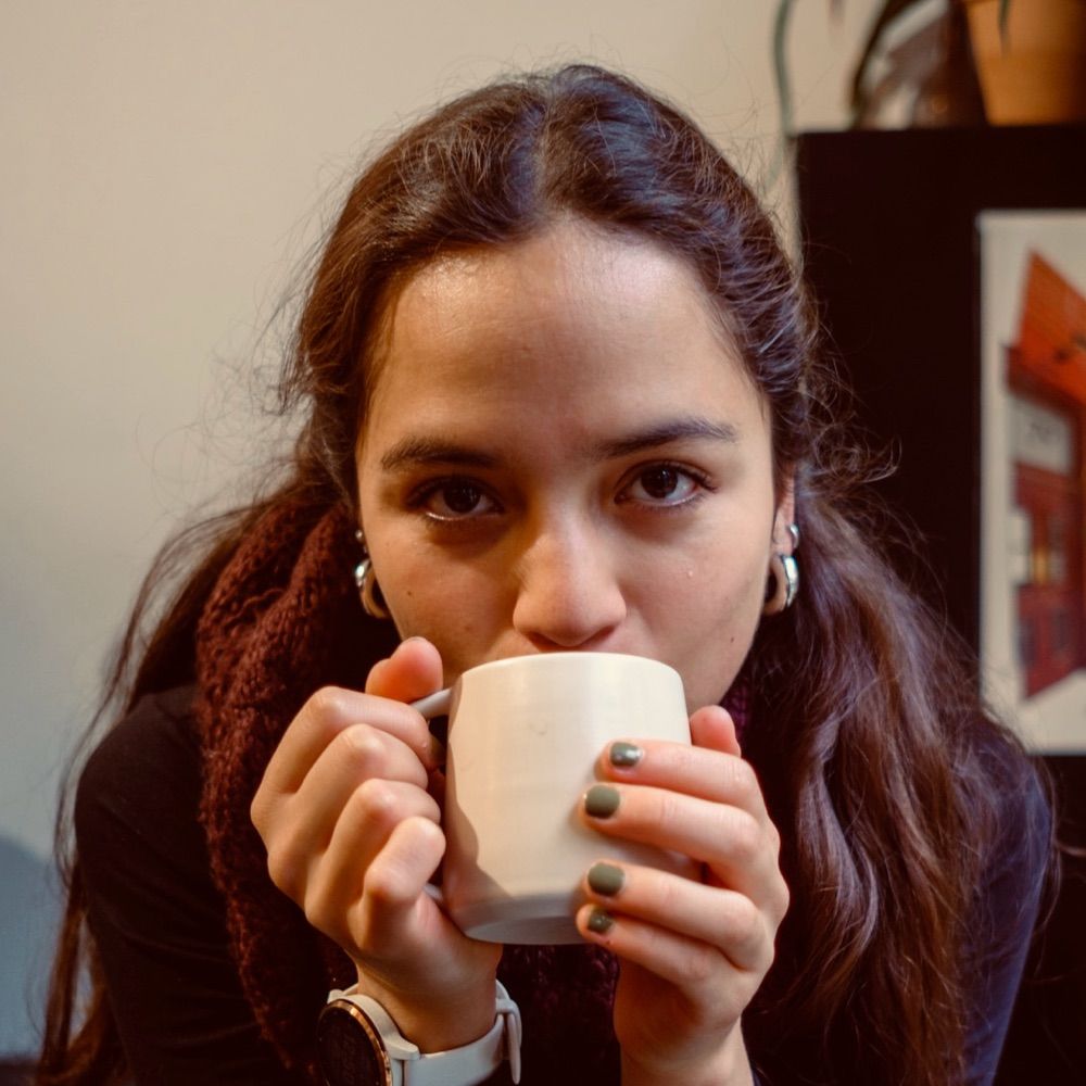 Domenica Valverde Cherrez