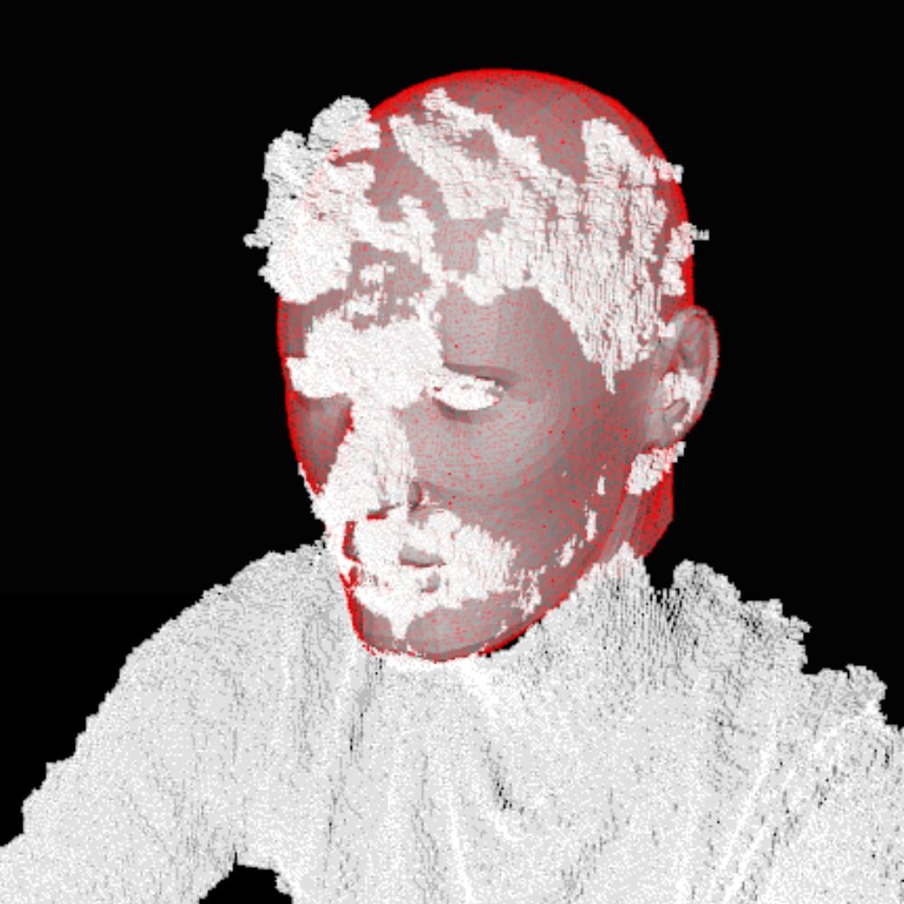 Simone C Niquille 