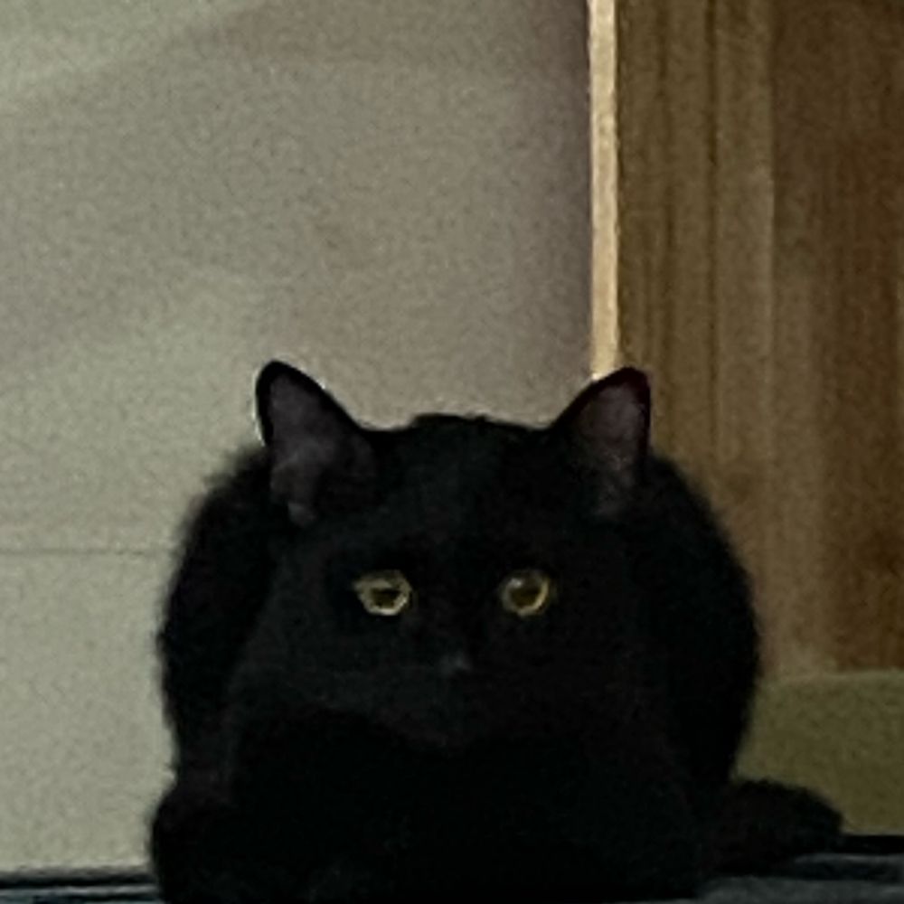 (◍•ᴗ•◍)
