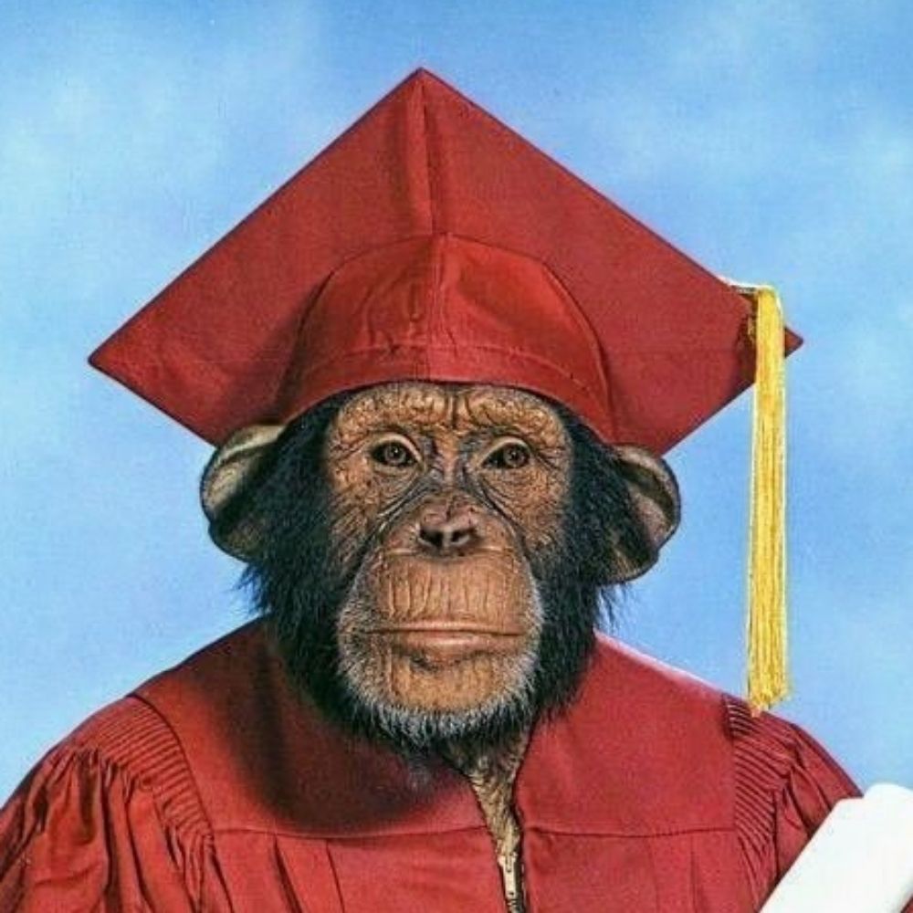 macaco psicodélico