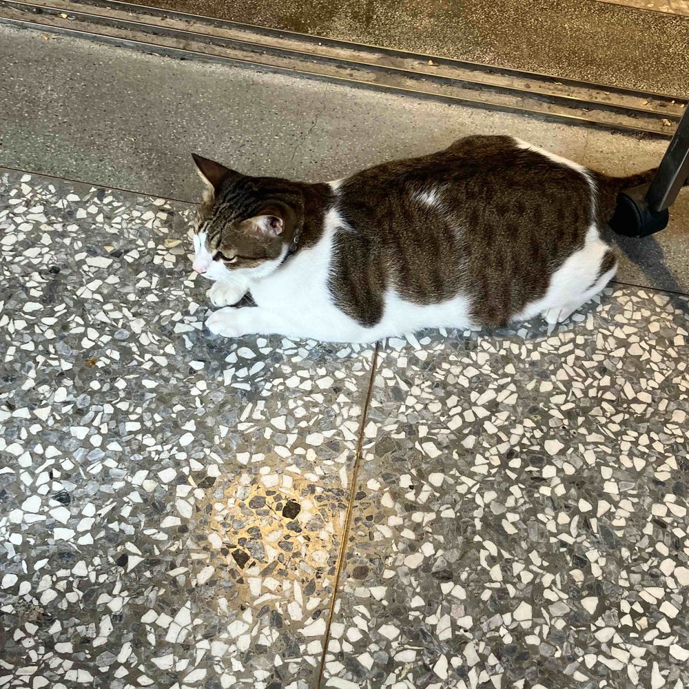 松葉