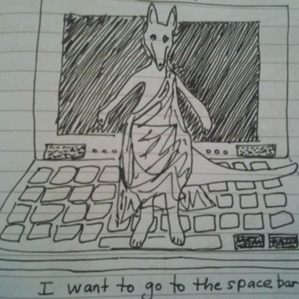 togakangaroo