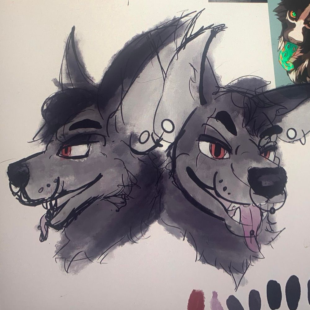 Jax the Wolf ╶⃝⃤ Peaches Raccoon