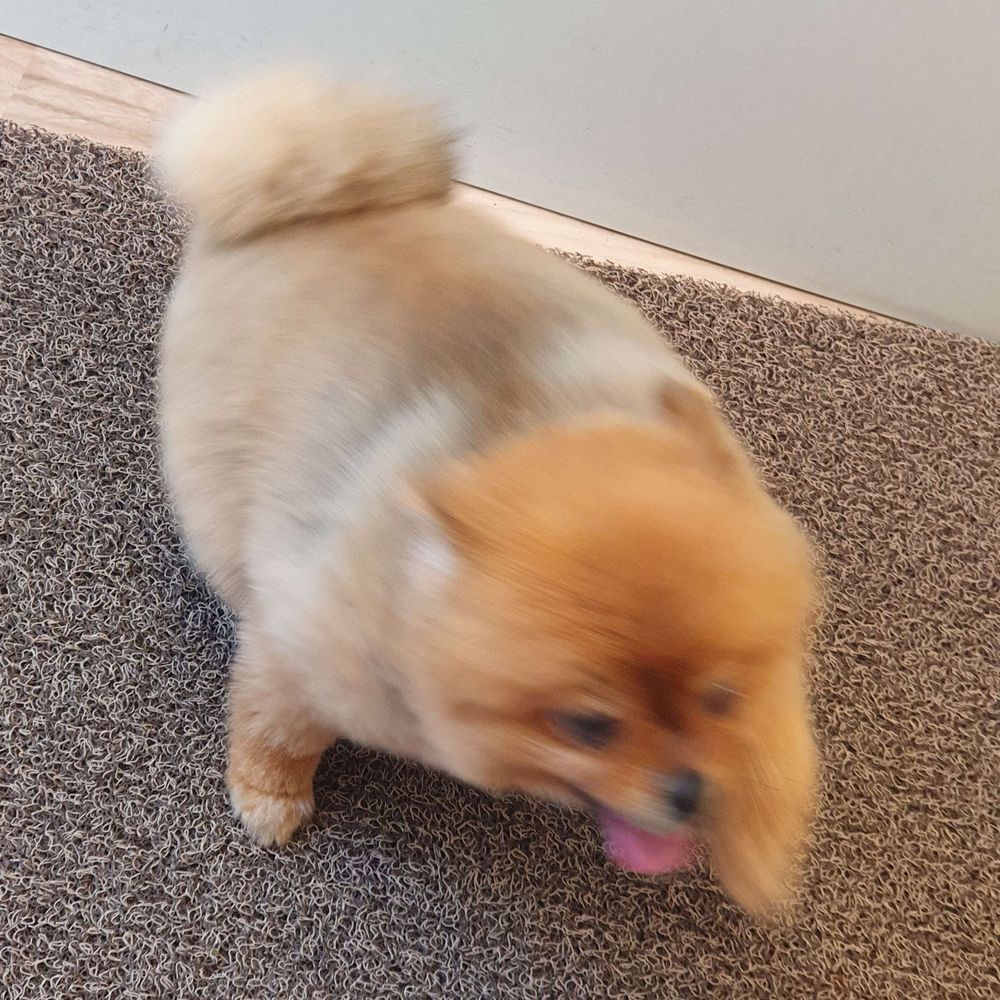 황분이