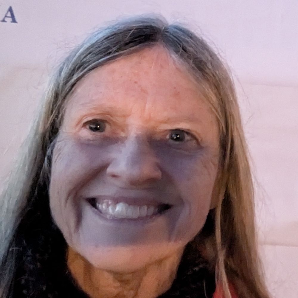 Diane Shook