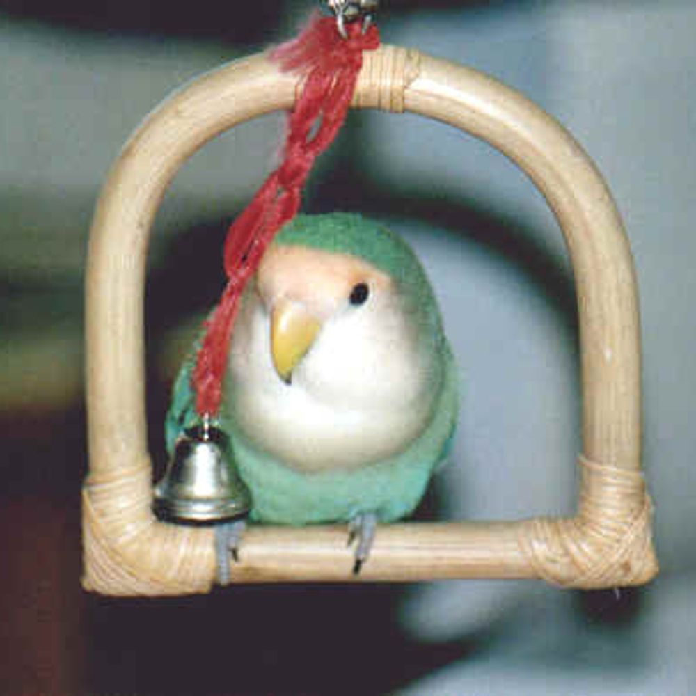 didi-1893.bsky.social