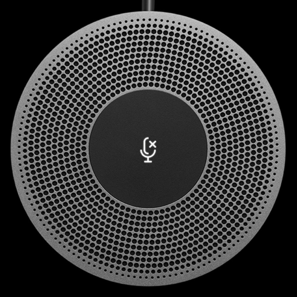 RoomMic