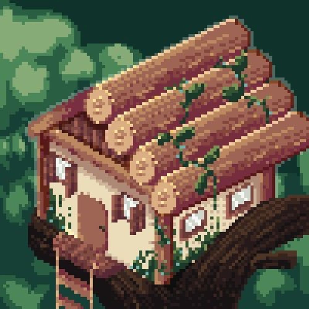 the shelter