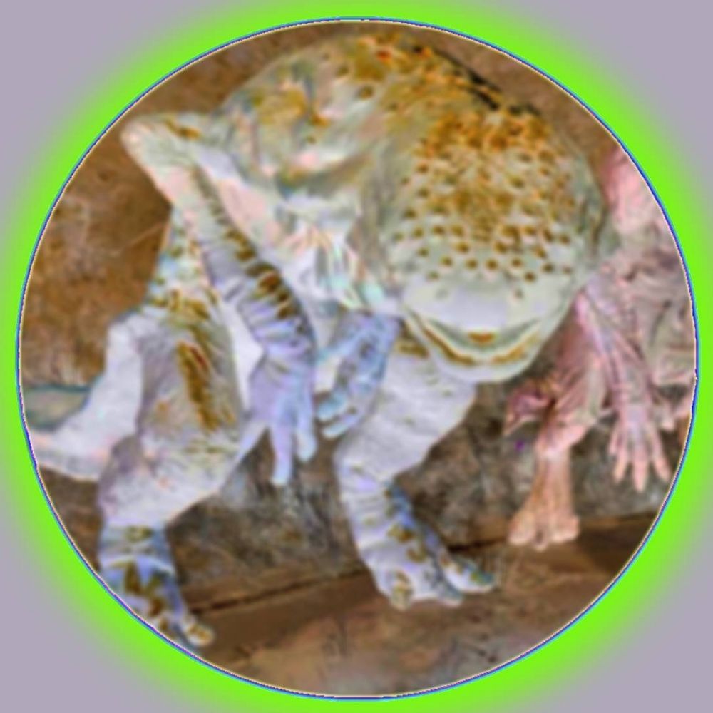 The Gulper