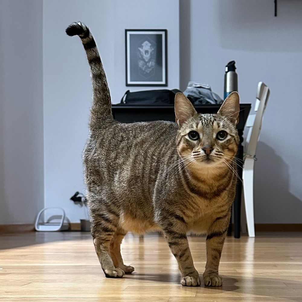 Spugmeier