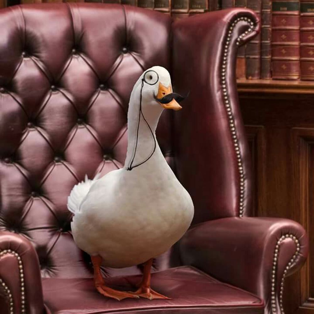 Sir Ducc