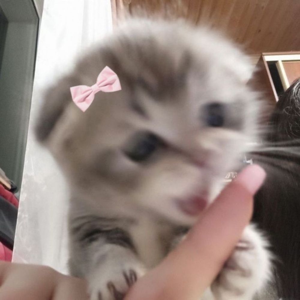  🦋 Nalivia 🦋