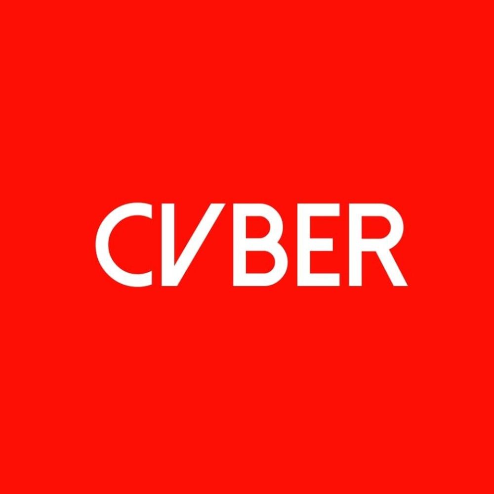 cvberpunk