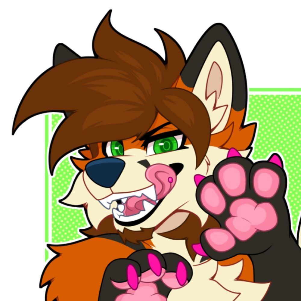 Bean Fox @ Home