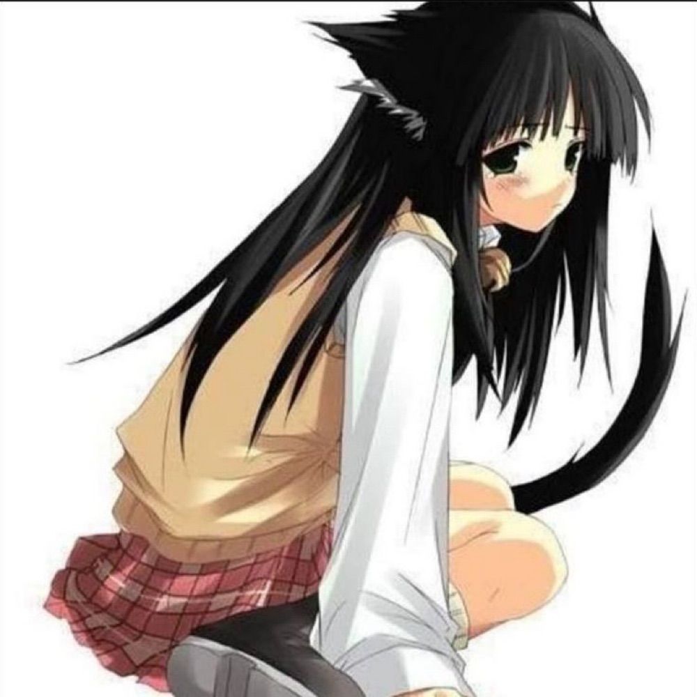 jani=w=